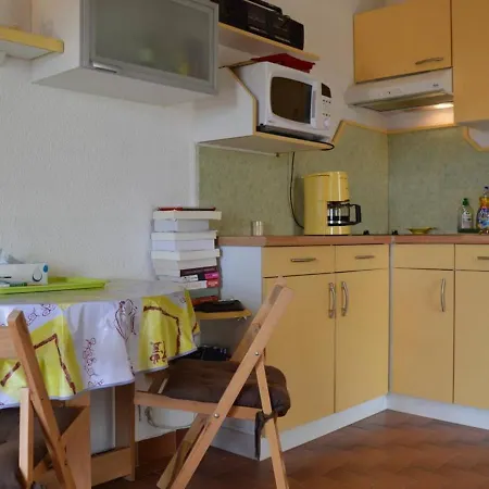Climatise Avec Terrasse A Saint-cyprien - Animaux Admis, Parking - Fr-1-225d-434 Saint-Cyprien (Pyrenees-Orientales)