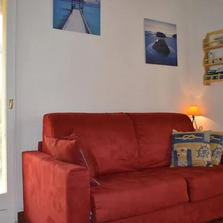 Climatise Avec Terrasse A Saint-cyprien - Animaux Admis, Parking - Fr-1-225d-434 Saint-Cyprien (Pyrenees-Orientales)
